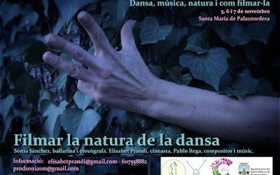 taller dansa, música i natura i com filmar-la