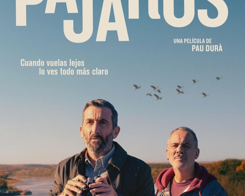 ESTRENA DE “PÁJAROS” DE PAU DURÀ