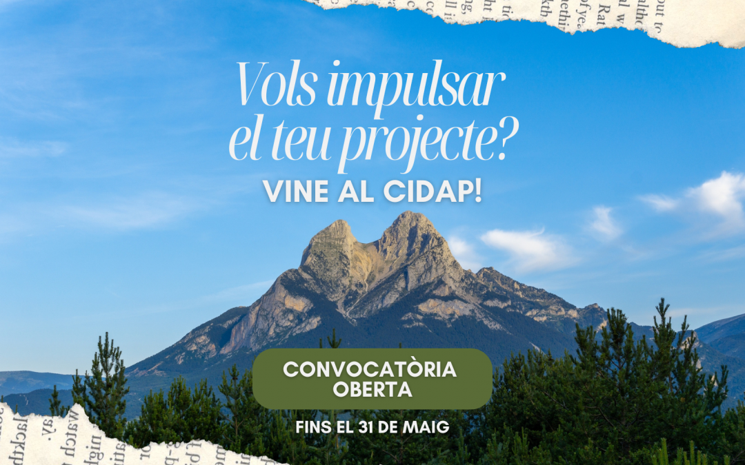 Convocatòria oberta pel CIDAP 2025!