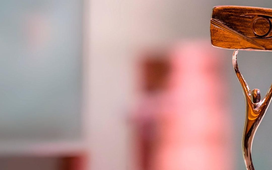 CONEIX EL PALMARÈS DELS PREMIS ZAPPING