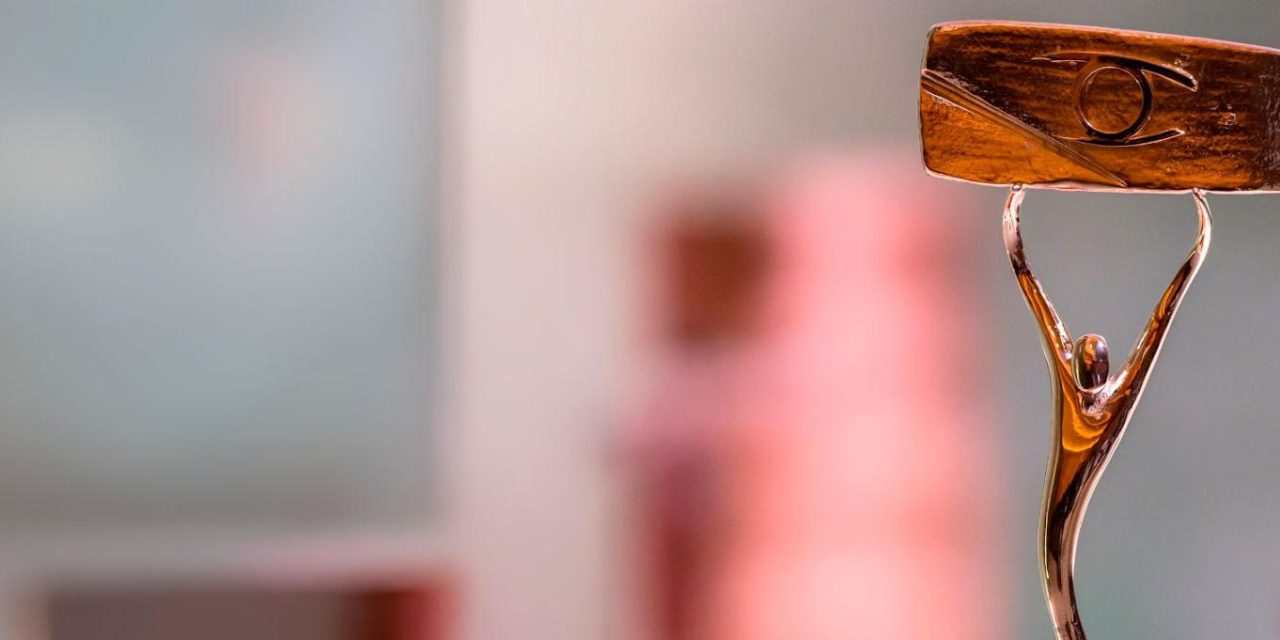 CONEIX EL PALMARÈS DELS PREMIS ZAPPING