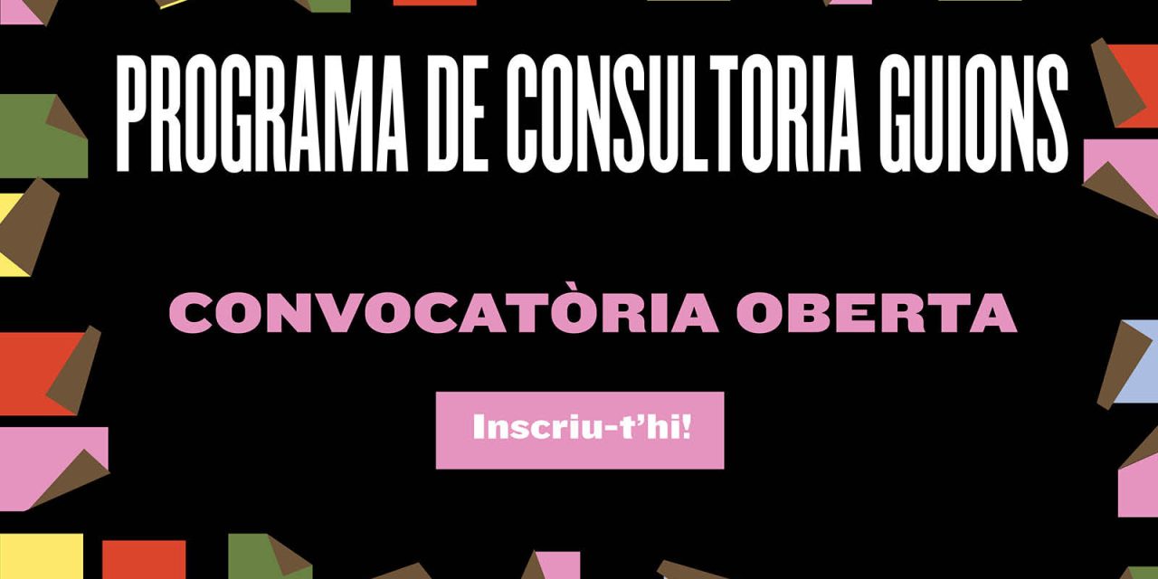SEGONA EDICIÓ DE FORMACIÓ EN CONSULTORIA DE GUIONS (FINS EL 23N)