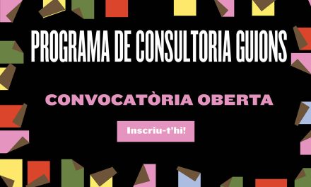 SEGONA EDICIÓ DE FORMACIÓ EN CONSULTORIA DE GUIONS (FINS EL 23N)